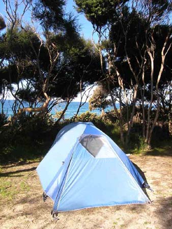 abeltasman17