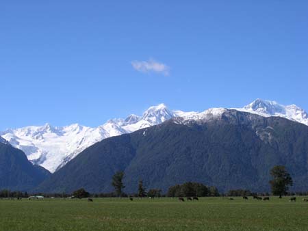 foxglacier1