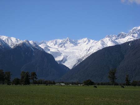 foxglacier2