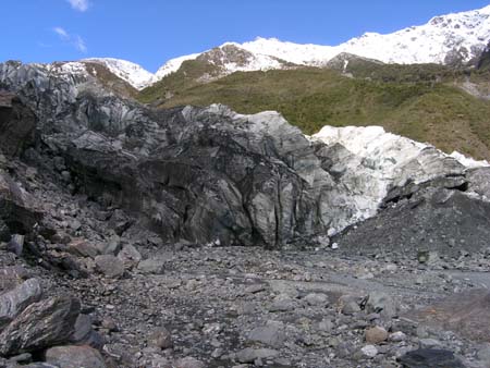 foxglacier3