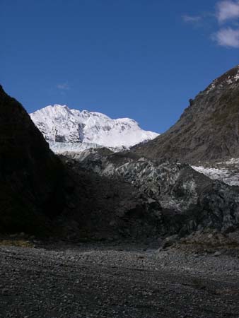foxglacier4