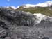 foxglacier3