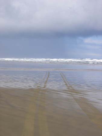 ninetymilebeachbustracks