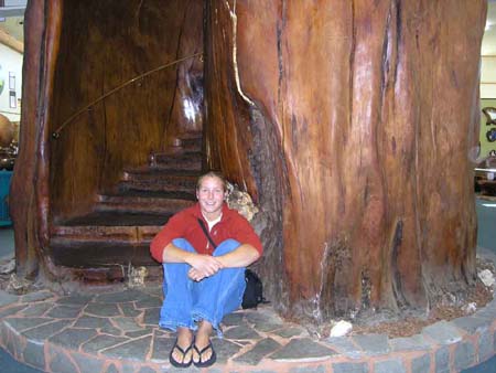 treestairs
