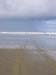 ninetymilebeachbustracks