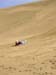 sandsledge2